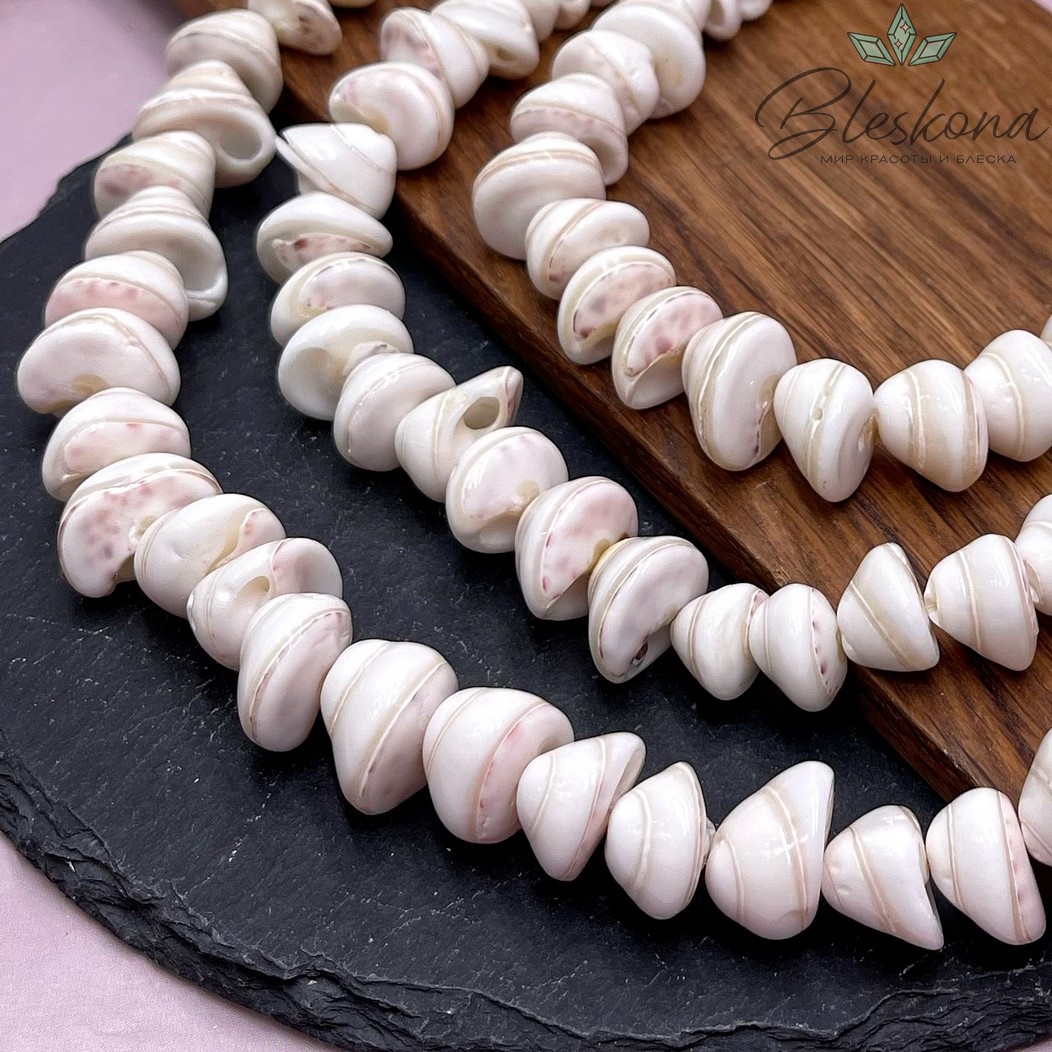 Ракушка белая на увеличение 12-18 мм