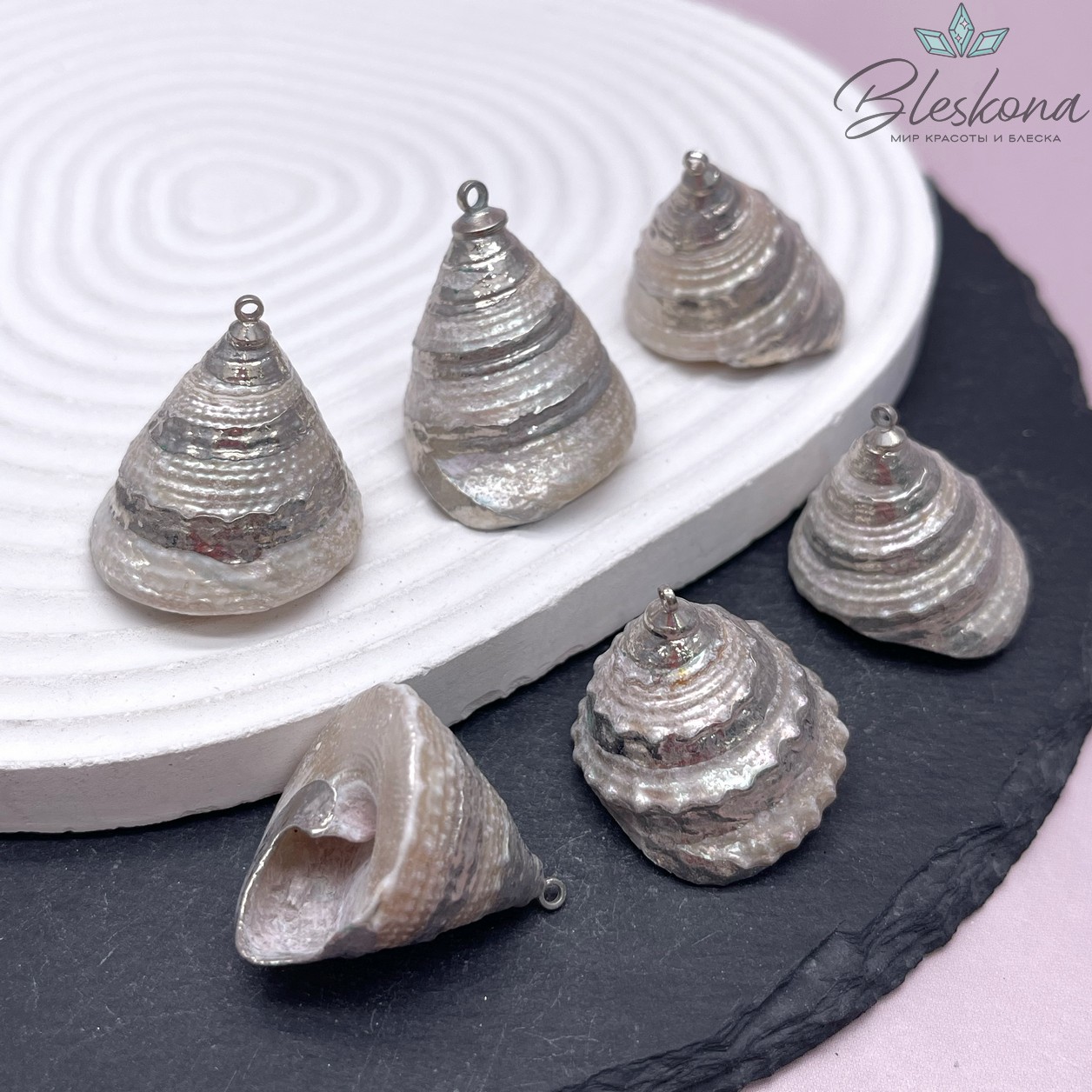 (25-27)*(23-26) мм Цвет серебро, Подвеска Ракушка Трохус белая