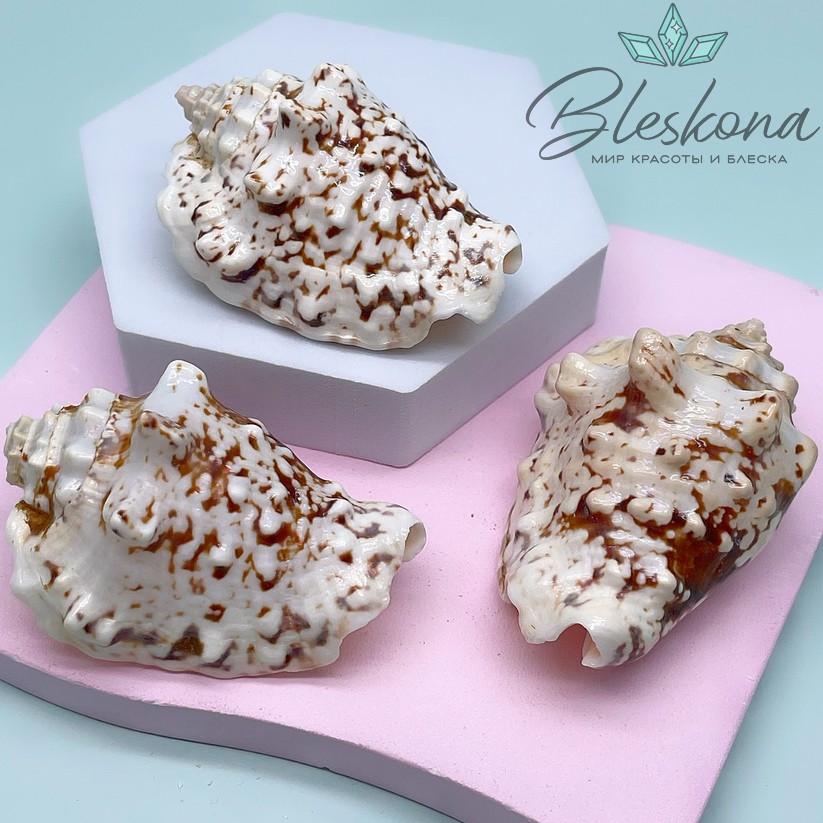 (55-70)*(35*40) мм, Подвеска ракушка