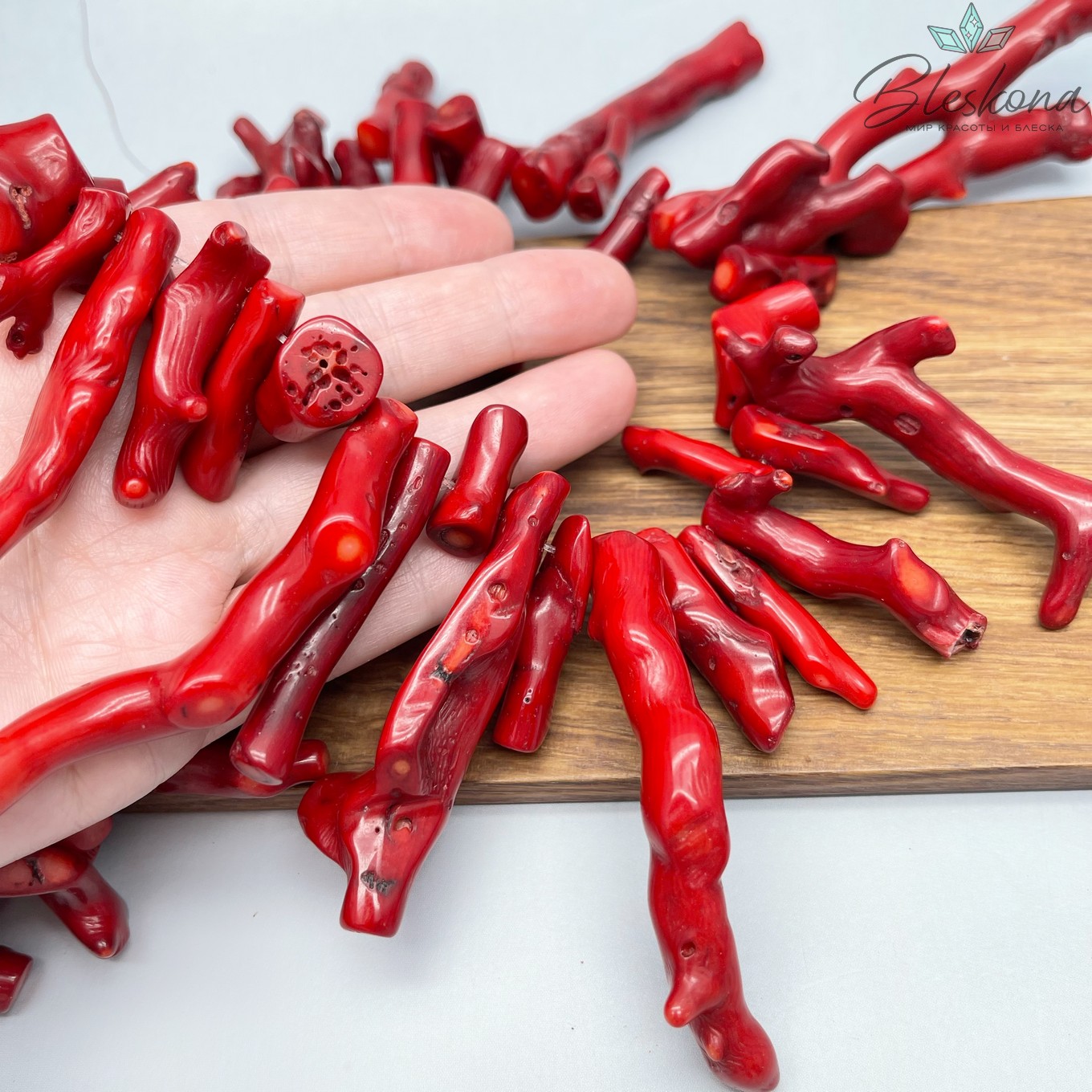 Коралл красный ветки на увеличение (Коралловые водоросли) 25-75 мм