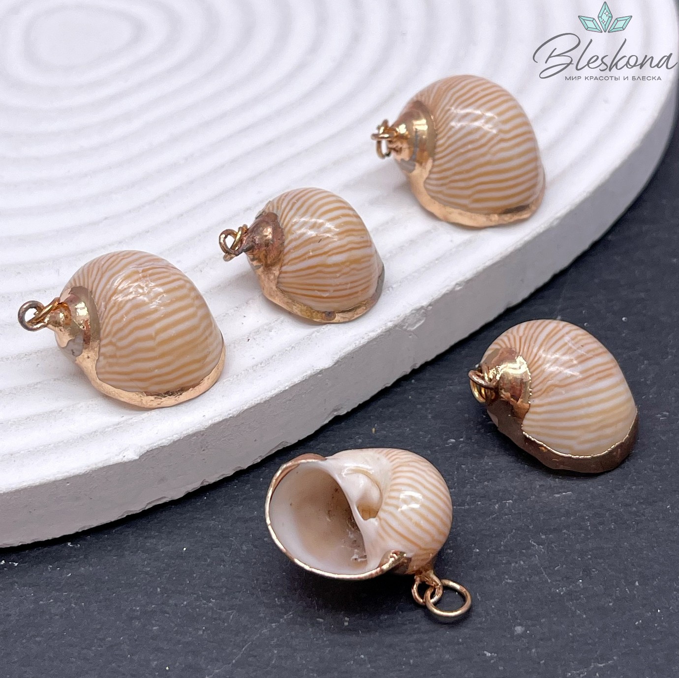 Подвеска Ракушка бежевая полосатая, цвет золото 20-22 мм №28