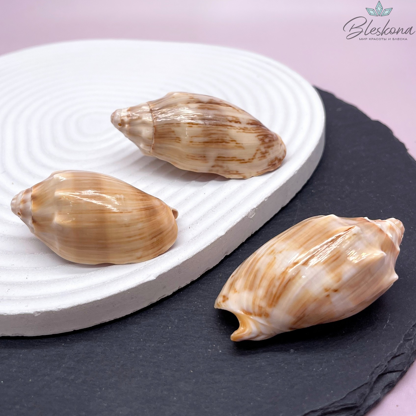 (50-63)*(25*34) мм, Подвеска ракушка