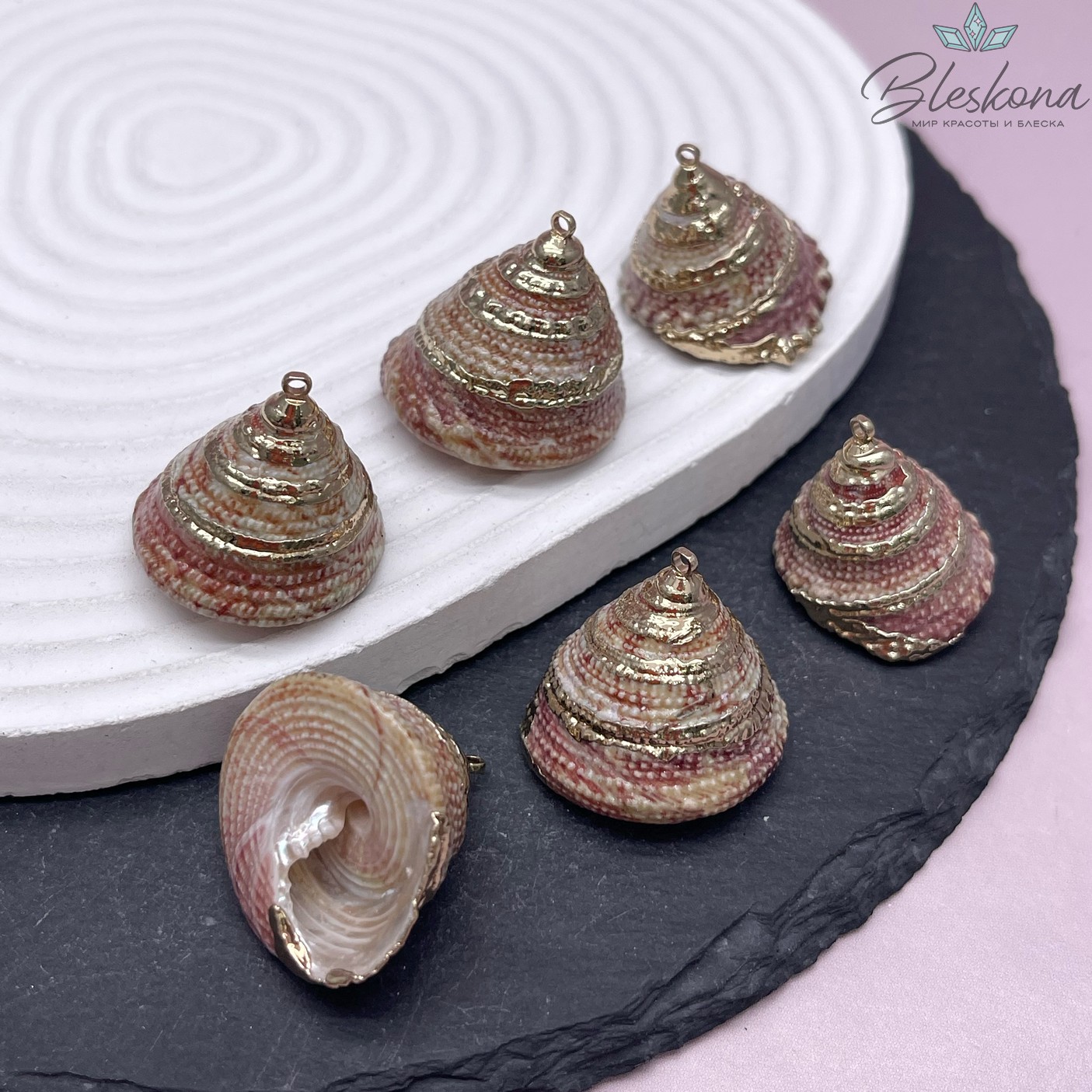 (20-24)*(20-22) мм Цвет золото, Подвеска Ракушка Трохус бело-бордовая