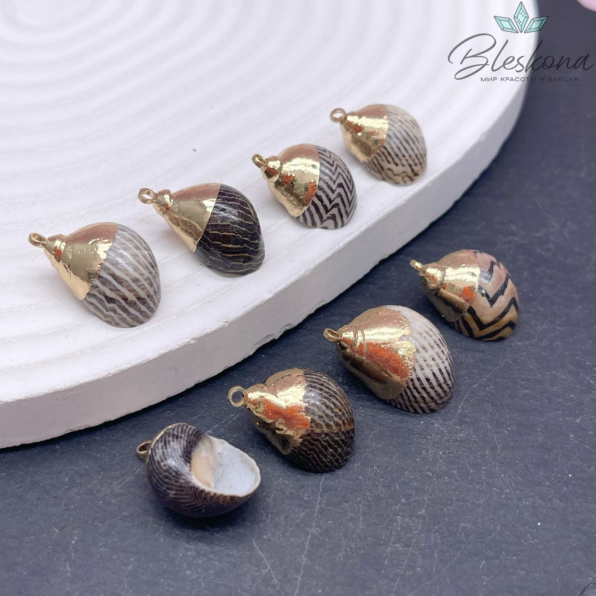 (14-20)*(11-14) мм Цвет золото, Подвеска Ракушка черные полосы