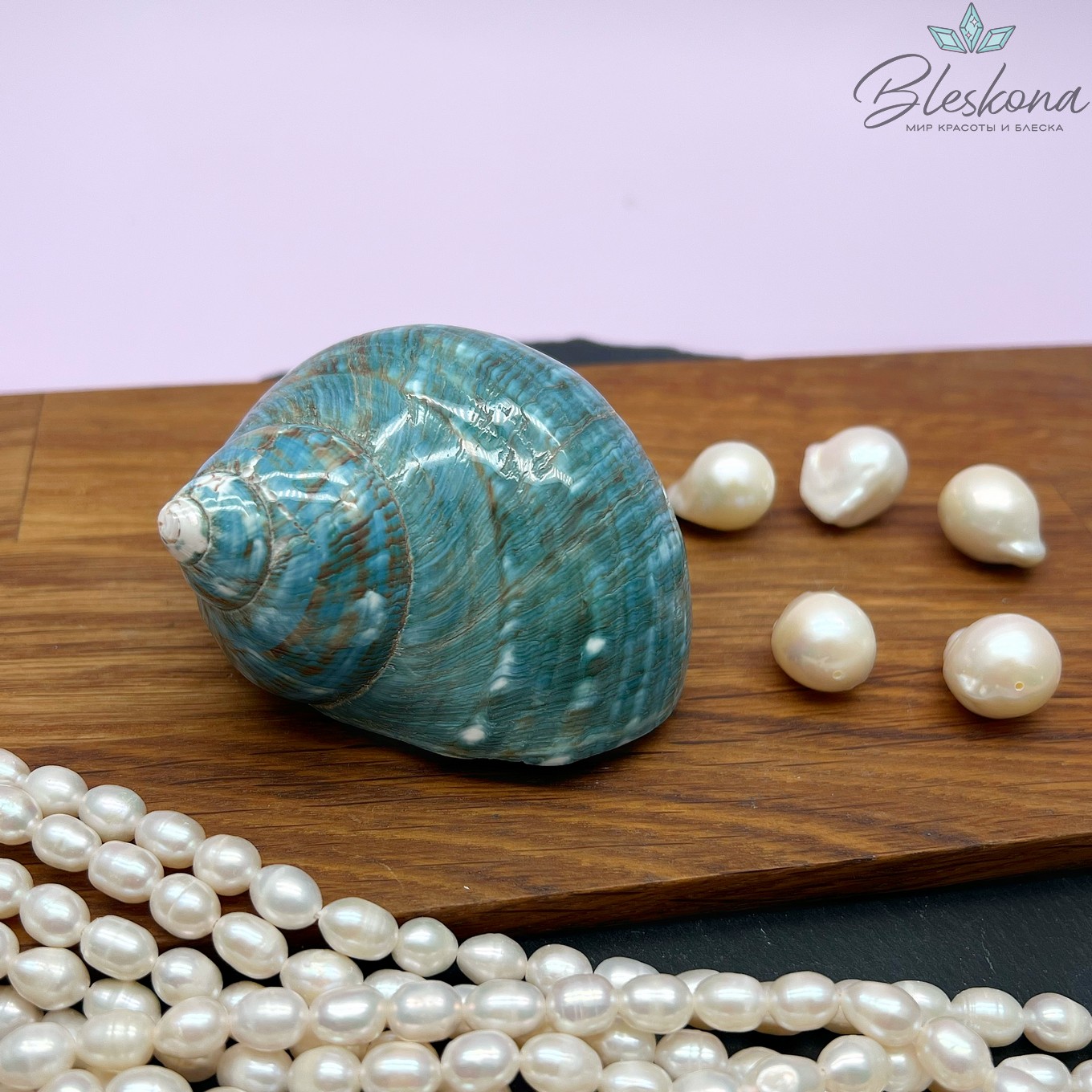 Морская раковина Турбо бирюзовая 7 см 