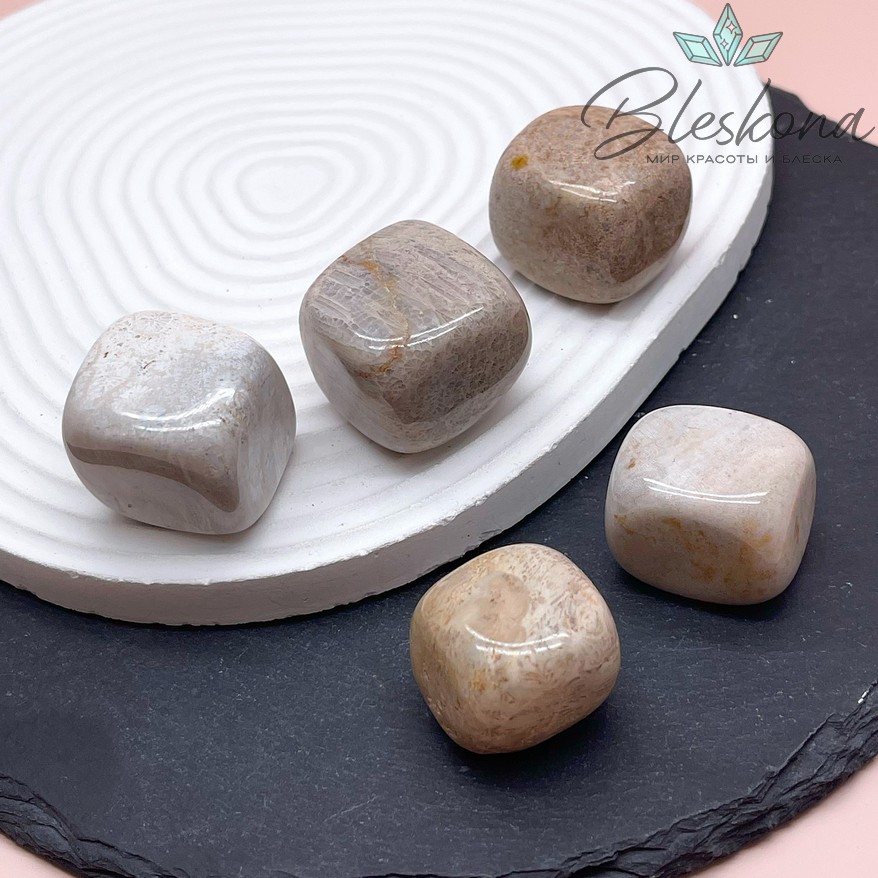 Окаменелый коралл Петоски галтовка 22-25 мм