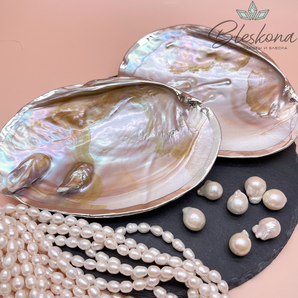 Перламутровая раковина с жемчугом в обрамлении , цвет серебро (10-11)*(14-15) см №1