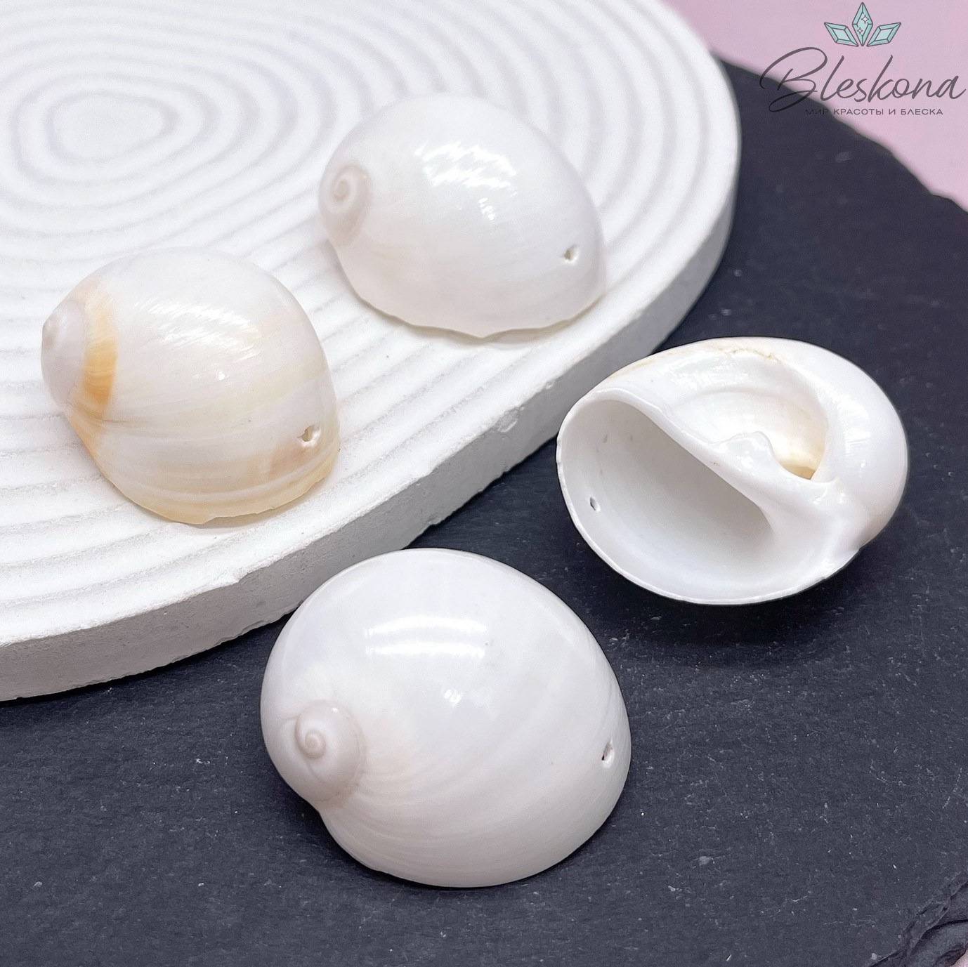 (25-31)*(25-31) мм, Подвеска Ракушка белая