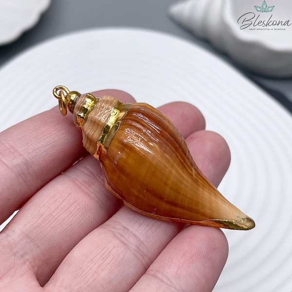 Подвеска Ракушка коричневая, цвет золото 63-65 мм №3