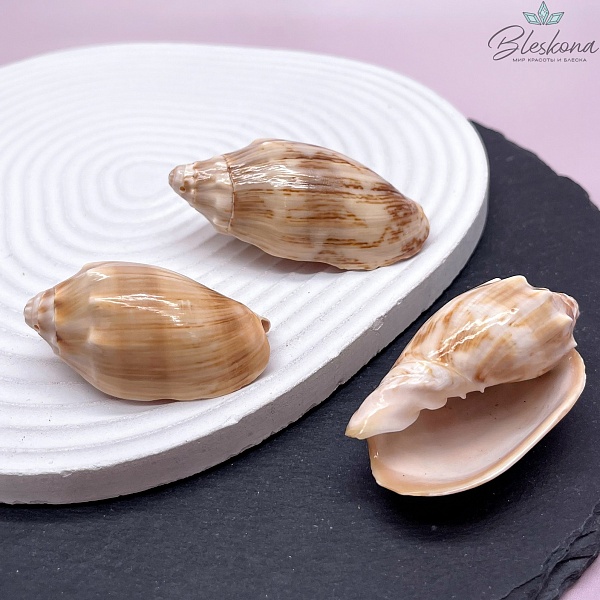 (50-63)*(25*34) мм, Подвеска ракушка