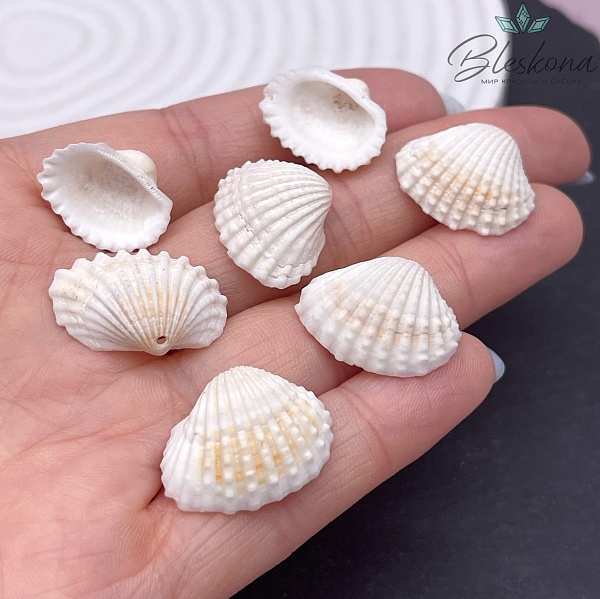 (16-17)*(19-23) мм, Подвеска Ракушка белая уп.10 шт 