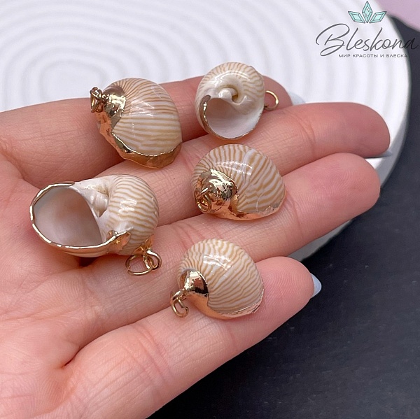 Подвеска Ракушка бежевая полосатая, цвет золото 20-22 мм №28