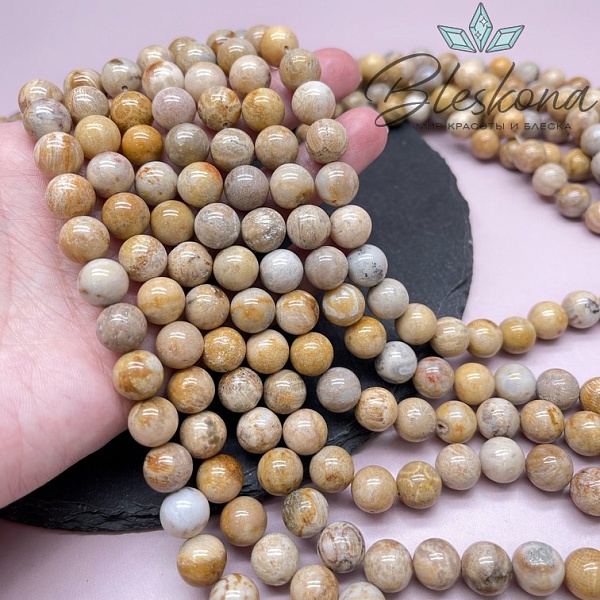 Окаменелый коралл Петоски №1 10,5 мм