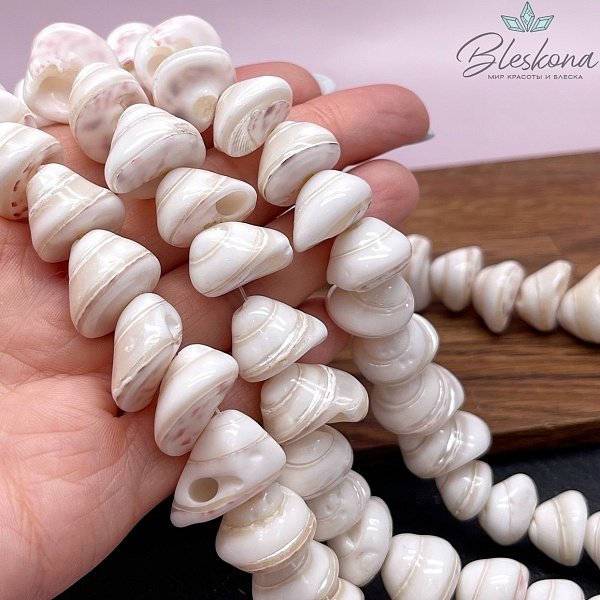 Ракушка белая на увеличение 12-18 мм