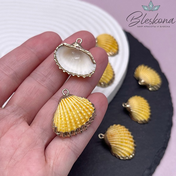 (22-23)*(24-26) мм, Цвет золото, Подвеска Ракушка желтая