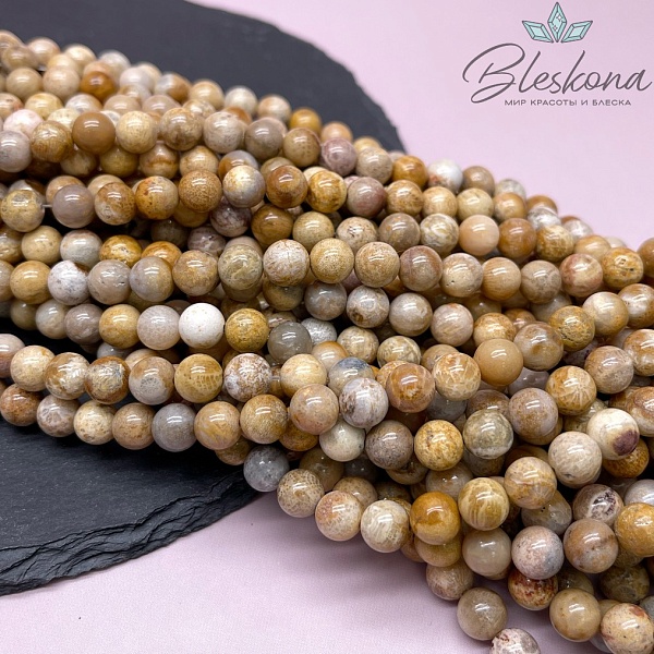 Окаменелый коралл Петоски №1 8 мм