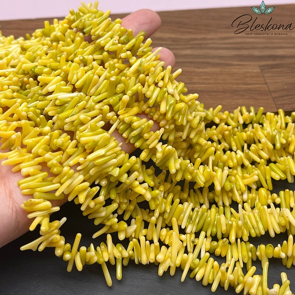 Коралл желтый веточки (Коралловые водоросли) 6-13 мм