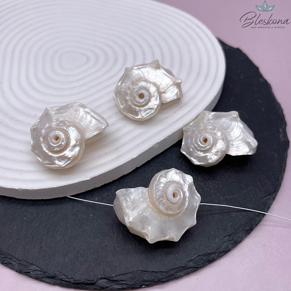 (33-40)*(27-31) мм Бусина ракушка белая