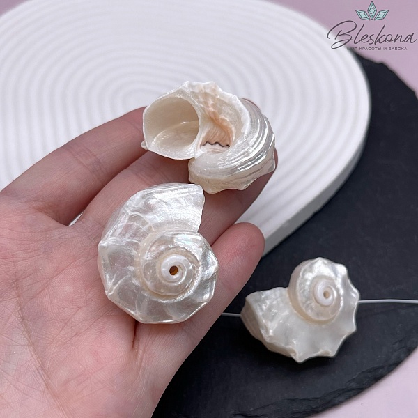 (33-40)*(27-31) мм Бусина ракушка белая