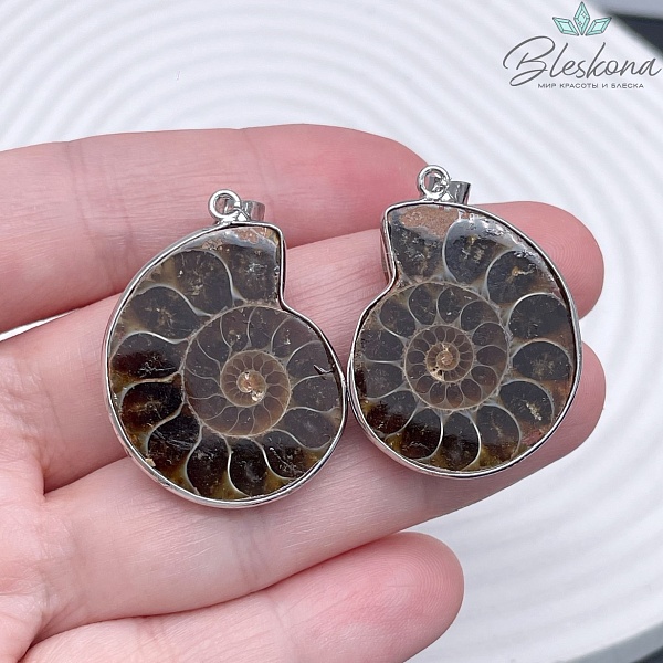 Парные подвески из Аммонита 25*33 мм, Цвет серебро