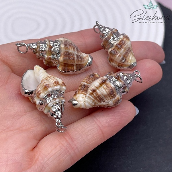 Подвеска Ракушка, цвет серебро 28-39 мм №11
