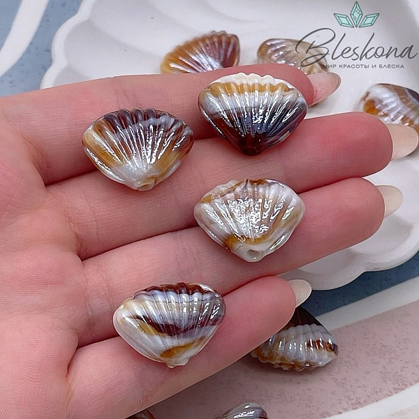 14,5*21 мм Бусина ракушка коричневая