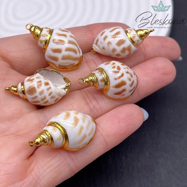 (25-28)*(14-16)мм, Цвет золото, Подвеска Ракушка тигровая
