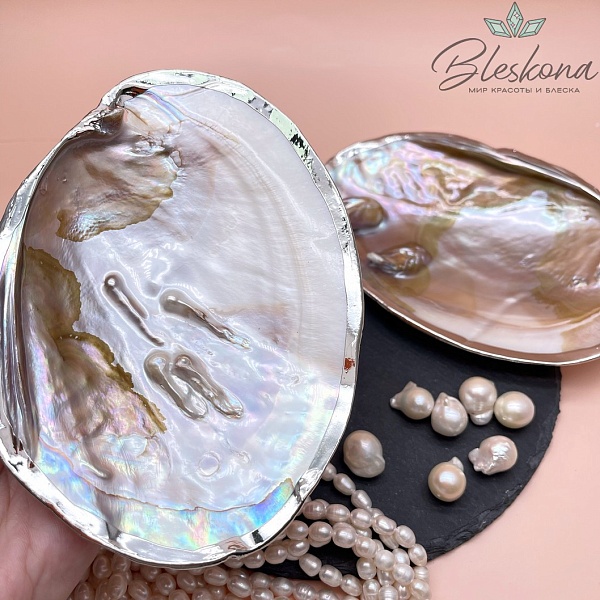 Перламутровая раковина с жемчугом в обрамлении , цвет серебро (10-11)*(14-15) см №1