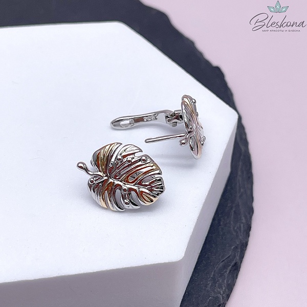 19*14,5 мм Биколор, Швензы Монстера Люкс