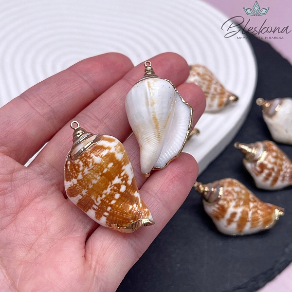 (37-40)*(20-23) мм Цвет золото, Подвеска Ракушка №8