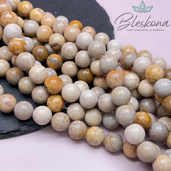 Окаменелый коралл Петоски 12 мм