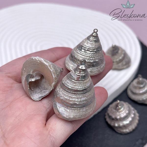 (25-27)*(23-26) мм Цвет серебро, Подвеска Ракушка Трохус белая