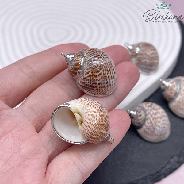 (27-33)*(20-23) мм Цвет серебро, Подвеска Ракушка леопардовая