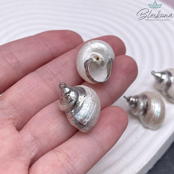 (22-24)*(18-20) мм Цвет серебро, Подвеска Ракушка 