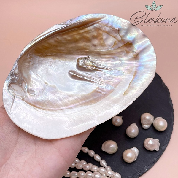 Перламутровая раковина с жемчужинами (10-11)*(14-15) см №1