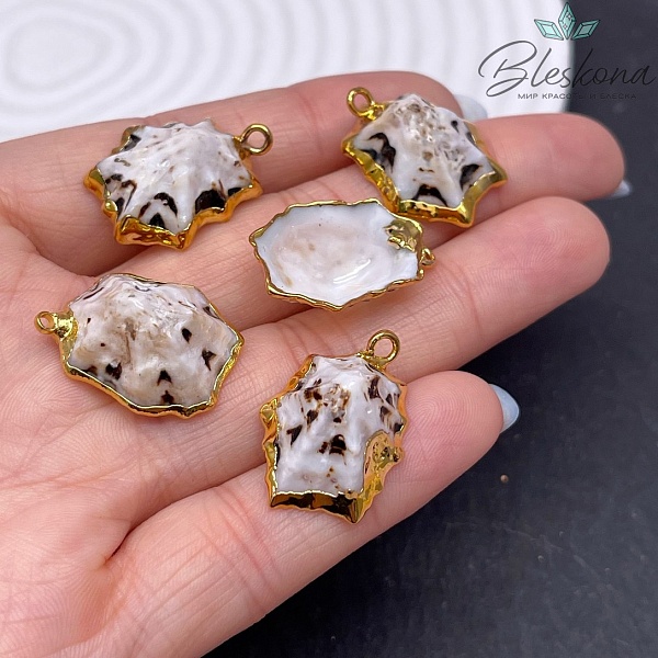 (19-21)*(16-18) мм, Подвеска Ракушка бело-черная