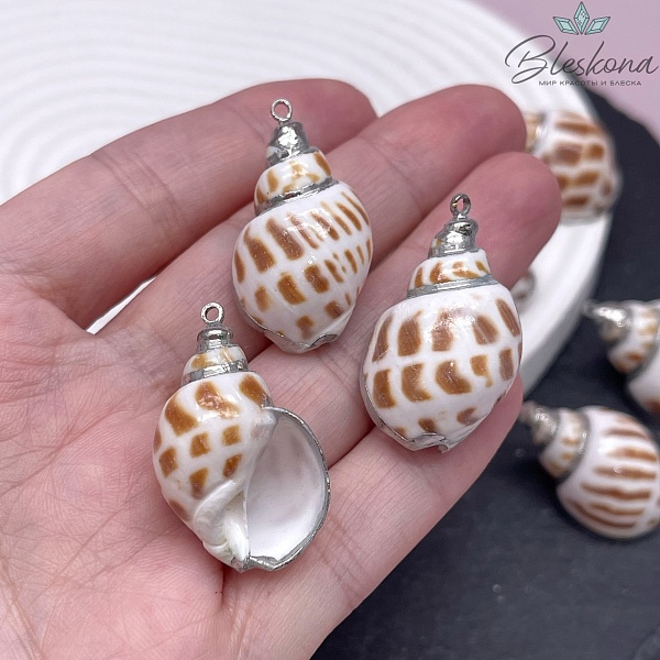 (28-34)*(17-19) мм Цвет серебро, Подвеска Ракушка тигровая