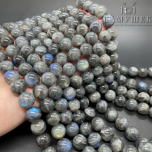 Лабрадор №3 10 мм