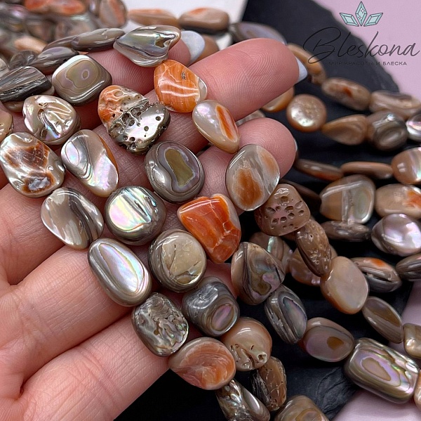 Галтовка из раковины морского ушка (Абалон) 10-14 мм