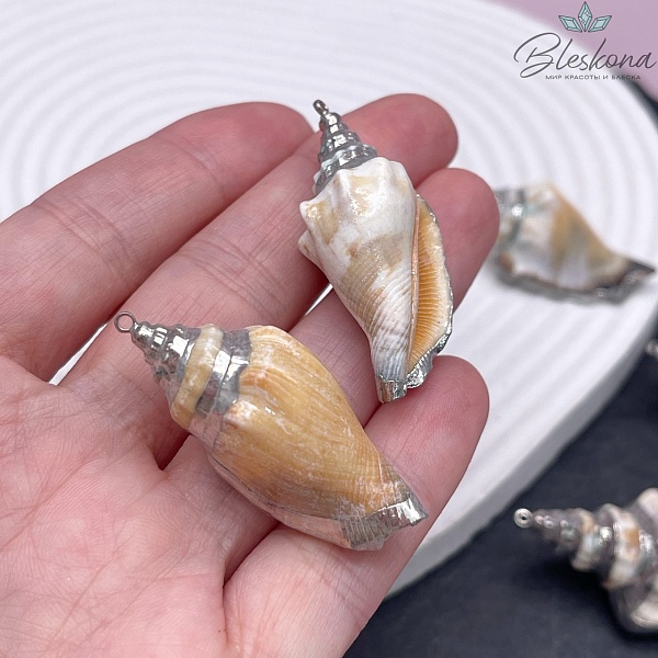 (41-47)*(19-23) мм Цвет серебро, Подвеска Ракушка светло-коричневая