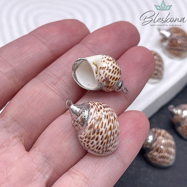(22-25)*(17-18) мм Цвет серебро, Подвеска Ракушка леопардовая