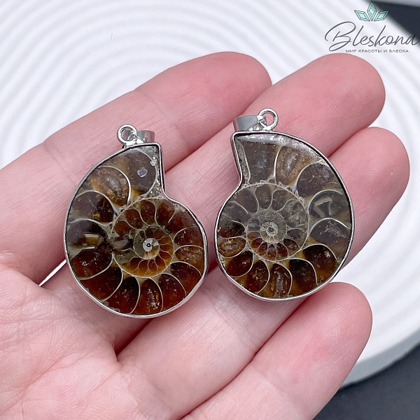 Парные подвески из Аммонита 22*28 мм, Цвет серебро