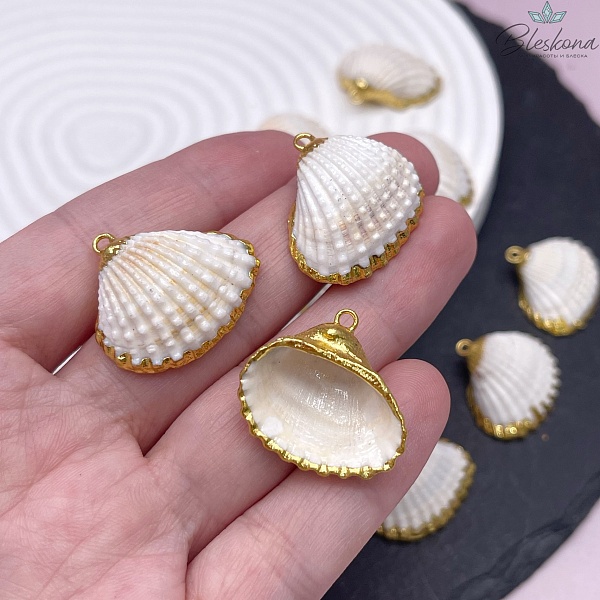 (20-23)*(22-27) мм, Цвет золото, Подвеска Ракушка белая