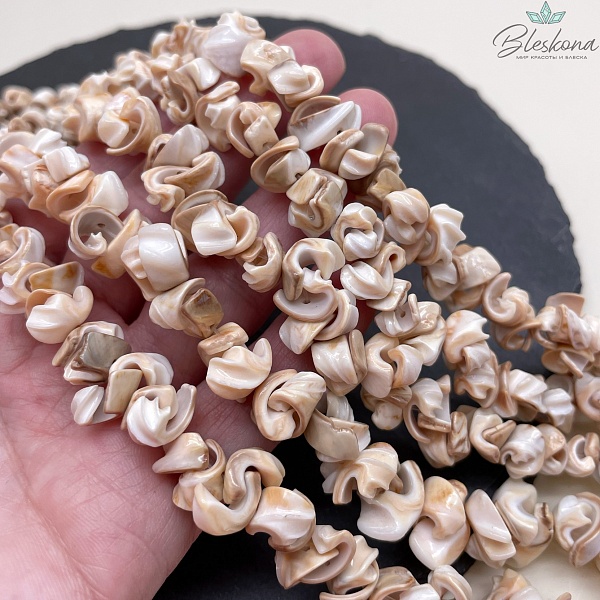 Ракушка улитка ребристая сколы 7-12 мм