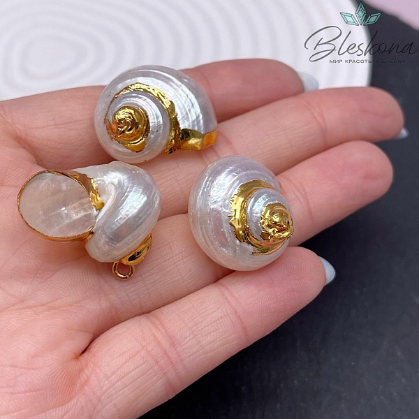 (28-34)*(25-26) мм, Цвет золото, Подвеска Ракушка улитка белая