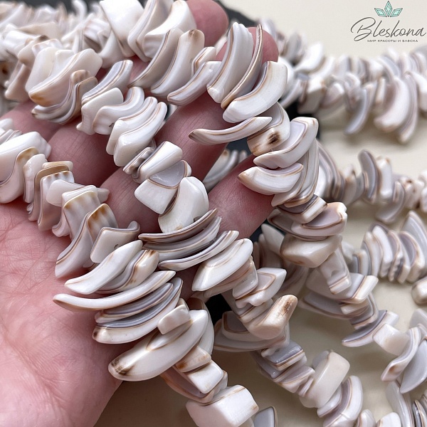 Ракушка сколы длинные 15-20 мм