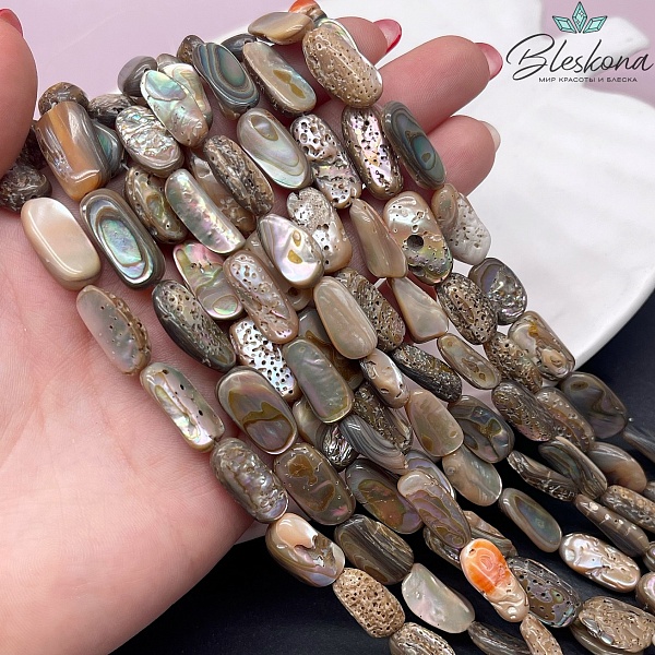 Галтовка из раковины морского ушка (Абалон) 13-17 мм